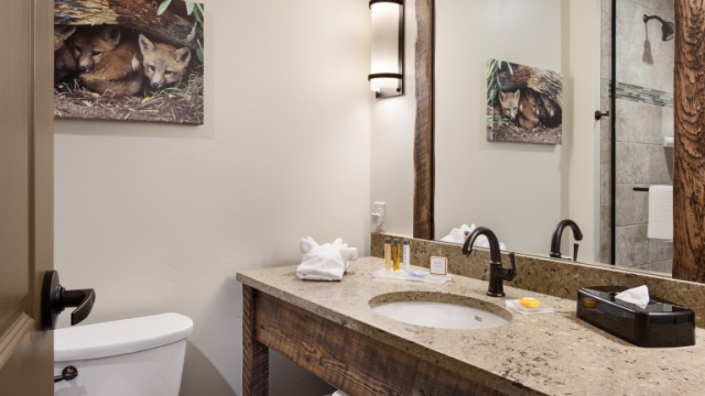 Interior, vertical, bathroom toward vanity, Country Inns & Suites, Kalispell, Montana; Greg Bain & Company kalispell builder country inn bathroom