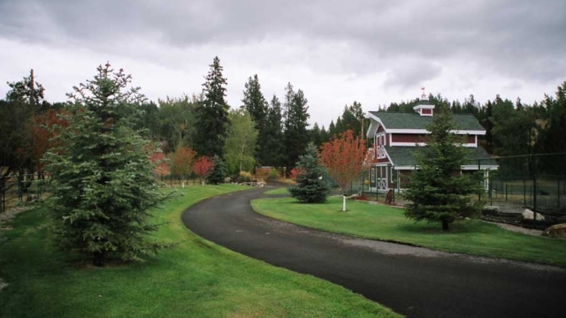 montana dream ranch driveway