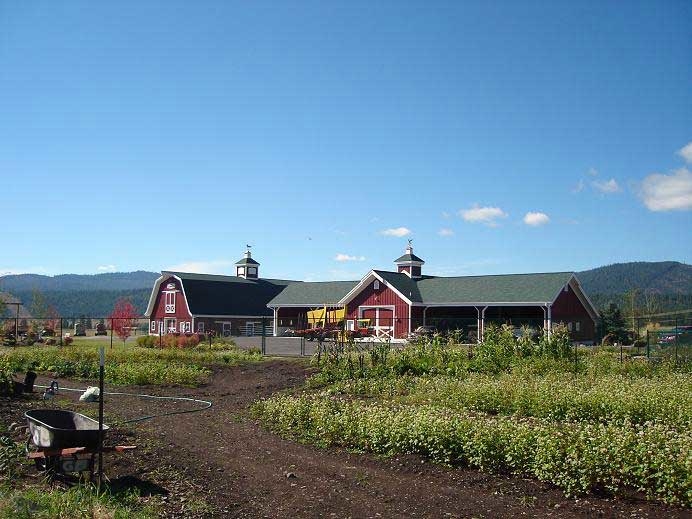 montana dream ranch garden