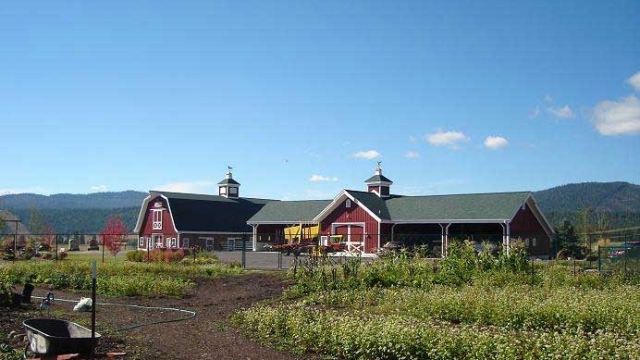 montana dream ranch garden