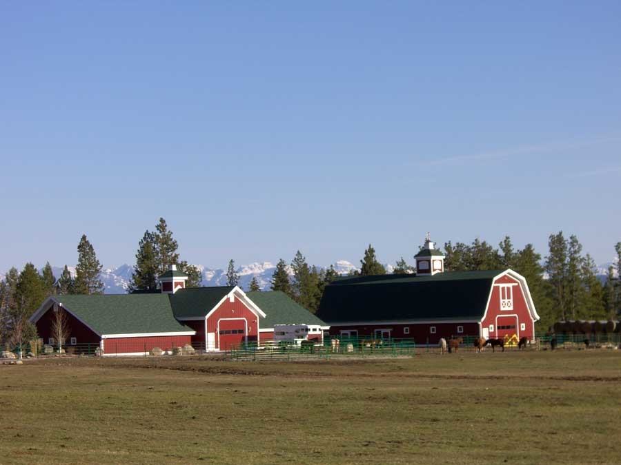 montana dream ranch horses