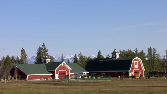 montana dream ranch horses