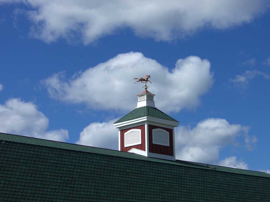 montana dream ranch weathervane