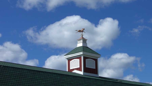 montana dream ranch weathervane